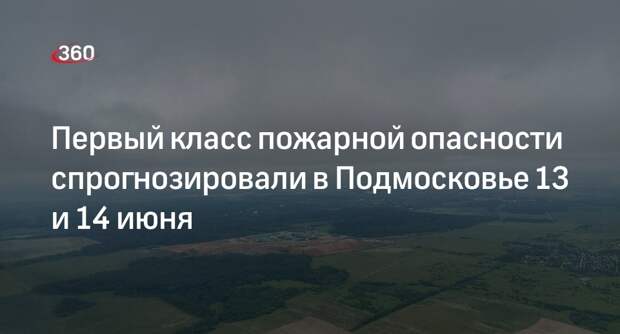 Первый класс пожарной опасности спрогнозировали в Подмосковье 13 и 14 июня