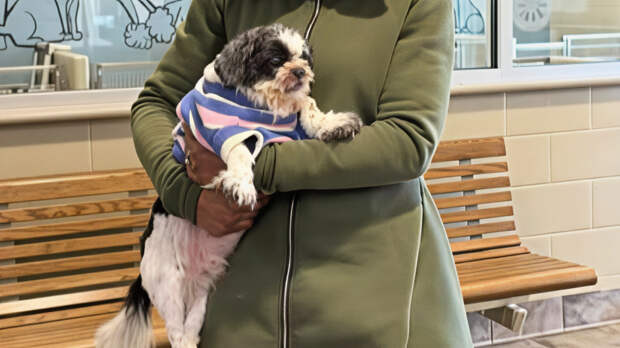 «Это мой пес!» — сбежавшая из дома собака вернулась к хозяйке спустя девять лет