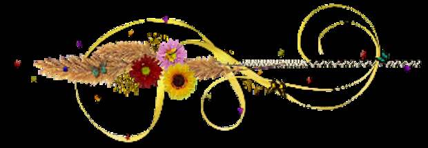 4216969_58935315_a5f45312f8a4 (365x126, 35Kb)
