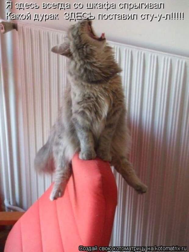 Котоматрицы(картинки с надписями)