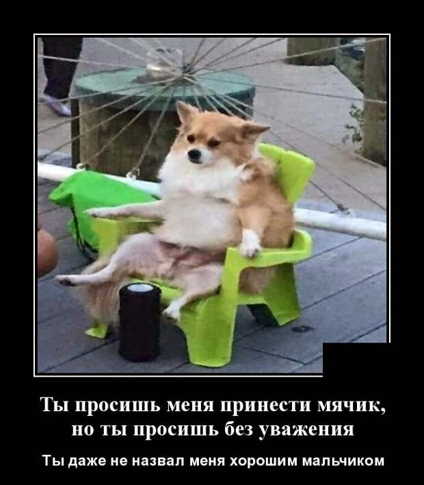 Демотиваторы (30 фото)