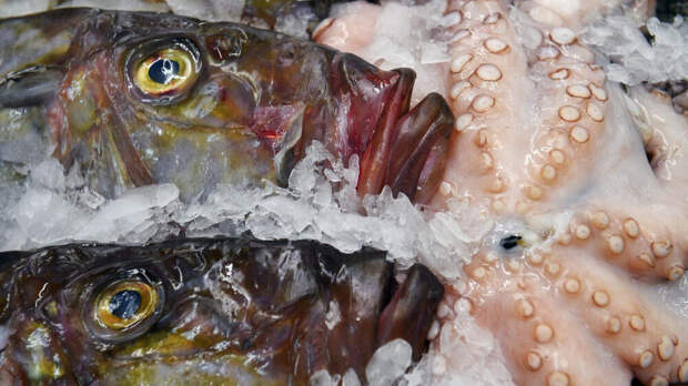 Беларусь обошла Китай и Турцию по поставкам рыбы в Россию