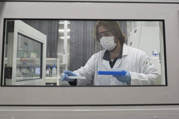 Риск возникновения пандемии аденовируса оценили