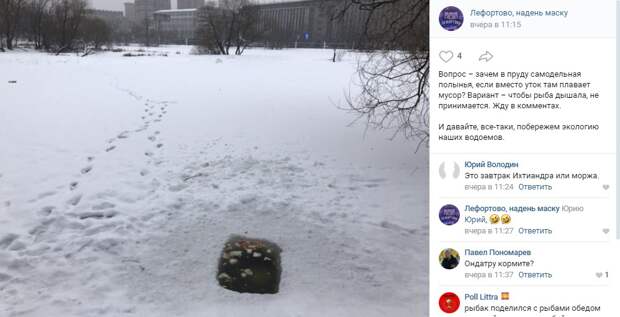 «Мусорная» полынья в Лефортовском пруду озадачила жителей района
