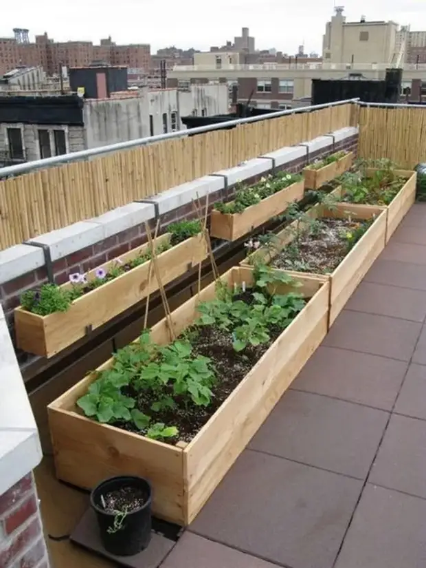 Оптимальный вариант для небольшого балкона: размещение растений на перилах в специальных подвесных горшках