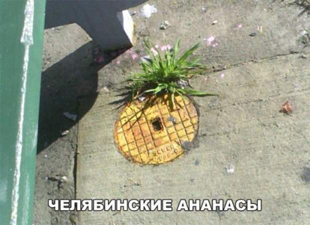 Прикольные фотомемы (26 шт)