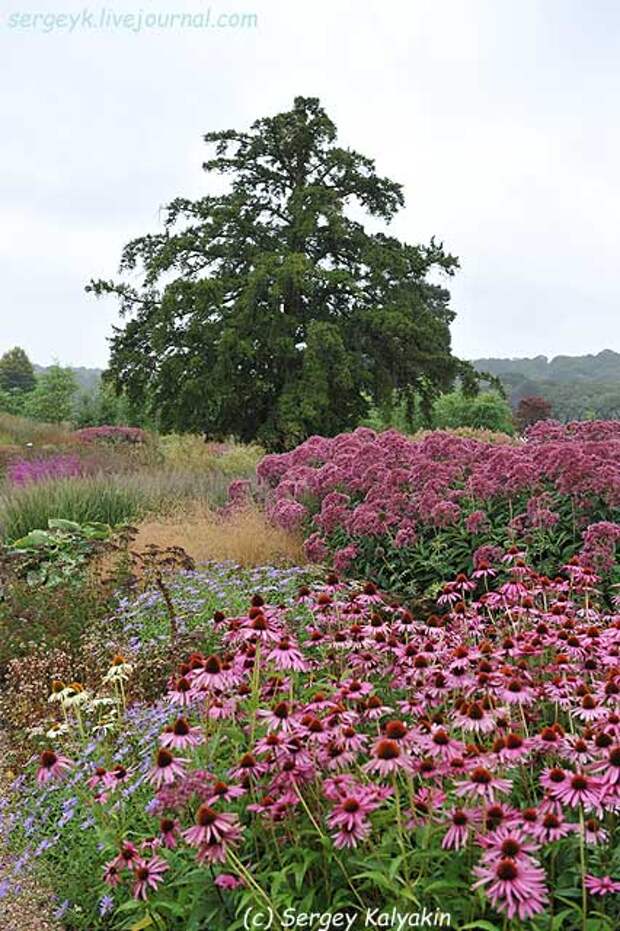 Trantham Gardens 101.JPG