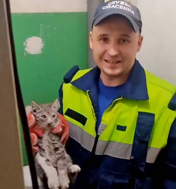 В Северодвинске спасатели вызволили котенка из вентиляционного канала