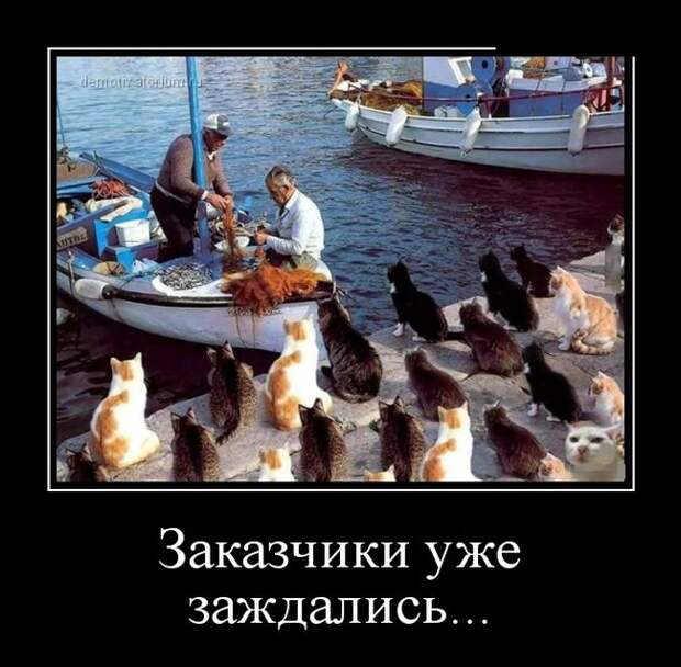 Демотиваторы