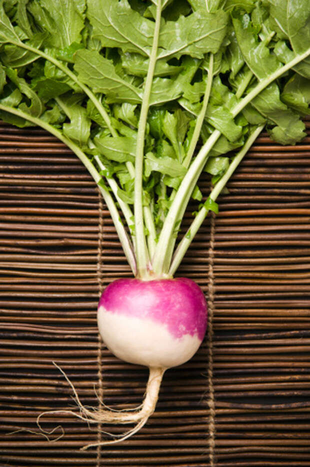 Репа для похудения turnip