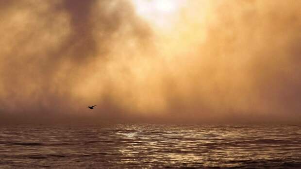 Фотографы запечатлели мистический туман на Телецком озере