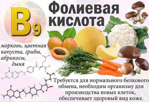 Витамин в9 картинка