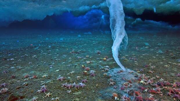 Брайникл — подводный аналог сталактита природа, природные явления, удивительная природа