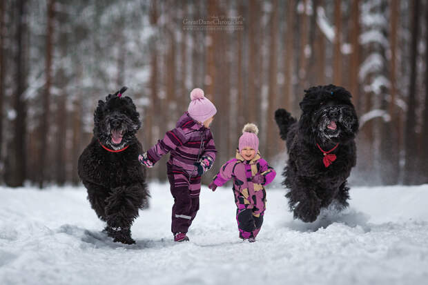 Энди Селиверстов фотографии детей и их больших собаках 3