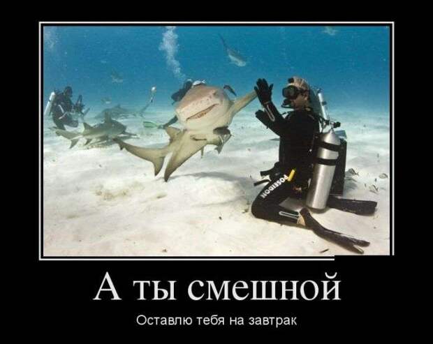 Демотивируемся! Демотивируемся!
