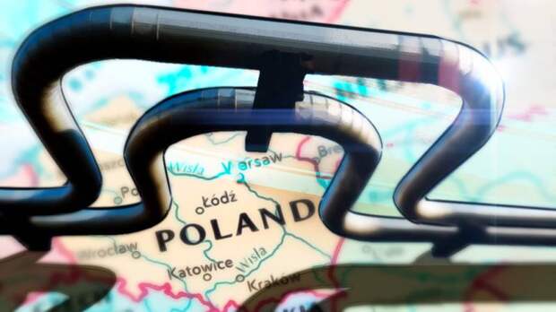 Спекуляции для привлечения внимания: политолог Самонкин о новом выпаде Польше в адрес РФ 