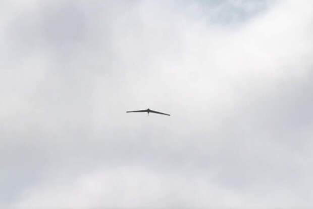 Силы ПВО отразили атаку украинских беспилотников минувшей ночью