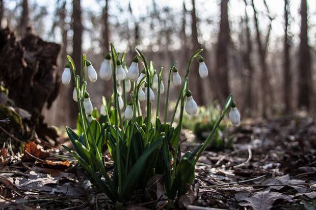 Лучше всего предсказывать погоду в закрытых помещениях. Представляем прогноз на 2 апреля в Туле