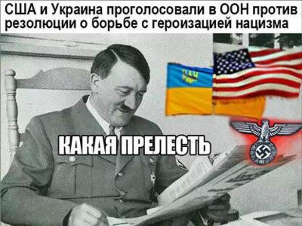 Резолюция по борьбе с героизацией нацизма. США И Украина проголосовали за героизацию нацизма. Проголосовали против резолюции по фашизму. Украина и США проголосовали за героизацию фашизма. Резолюция о фашизме.