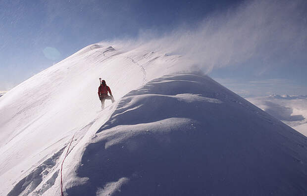 Arctic Arctic
