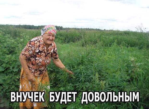 Веселые картинки с надписями для поднятия настроения (11 фото) Веселые картинки с надписями для поднятия настроения (11 фото)