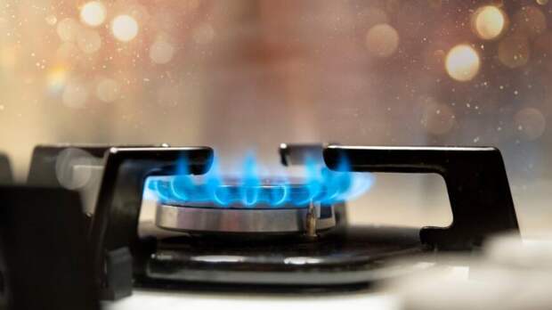 Цена российского газа для Беларуси сохранится на уровне 2022 года