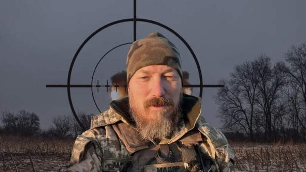 browdi3.jpg browdi3.jpg