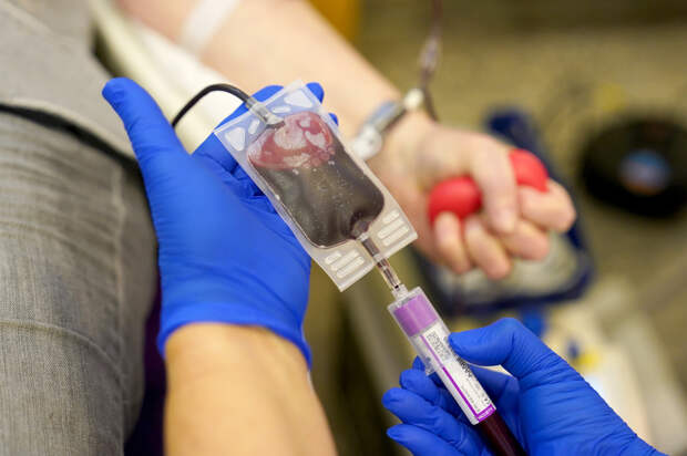 20 апреля: какой праздник отмечают в России и мире