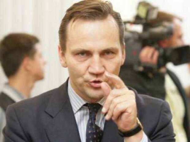 Экс-глава МИД Польши назвал "уродом" министра обороны за слова о России