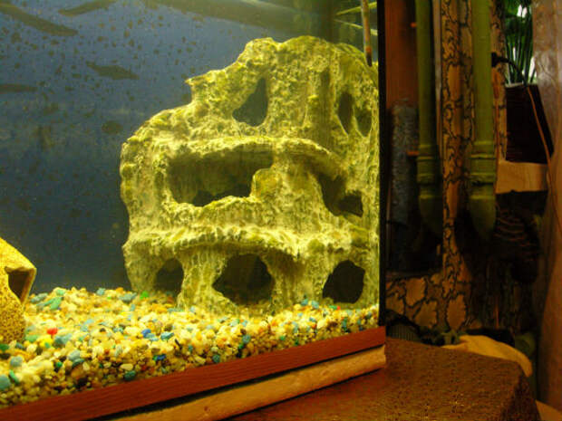 Готовый вид фона в аквариуме 