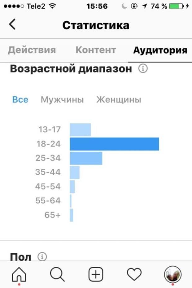 статистика инстаграм “Бизнес профиль”