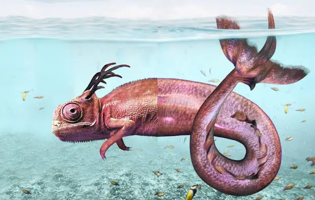 Сюрреалистические фотоманипуляции Зака Изи