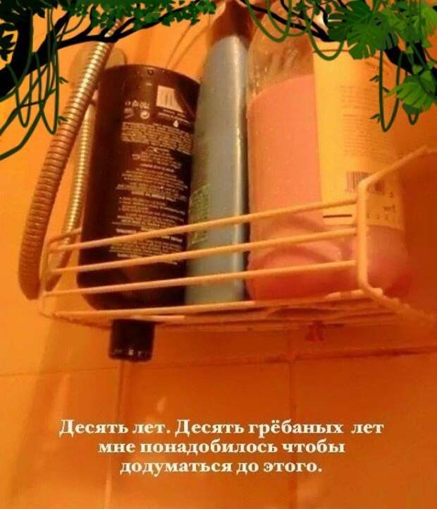Картинки, юмор, приколы