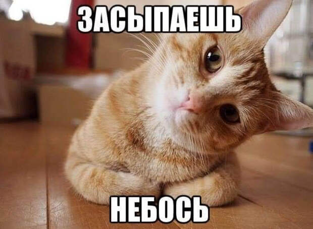 Нотка юмора для прекрасного вечера