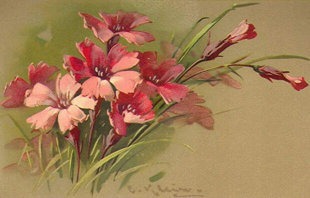 Катарина Клейн (Catharina Klein). Цветы