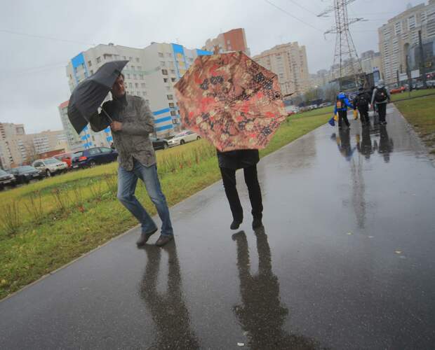 В Петербурге объявили “жёлтый” уровень погодной опасности из-за гроз и шторма