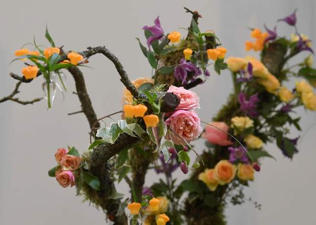 Цветочная выставка садов и цветов Chelsea Flower Show 2021
