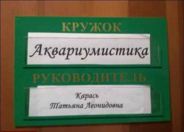 Смешные надписи и объявления
