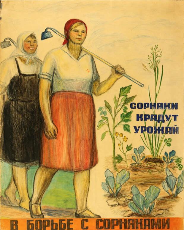 Одна из причин продовольственных проблем в СССР