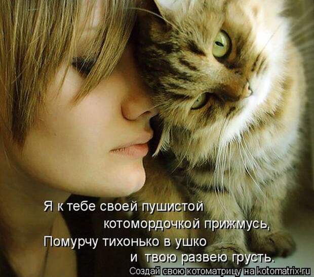 Забавные котоматрицы