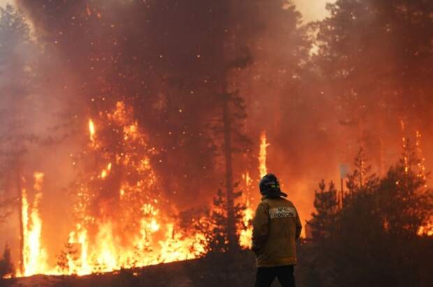 В России за сутки площадь лесных пожаров увеличилась до 143,5 тыс. га