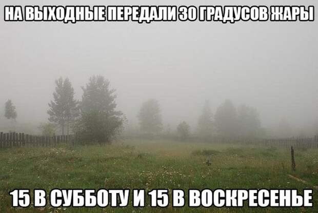 Прикольные картинки. Дневной выпуск (53 фото) Прикольные картинки. Дневной выпуск (53 фото)