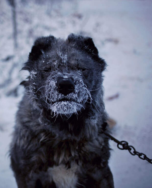 Оймякон Оймякон
