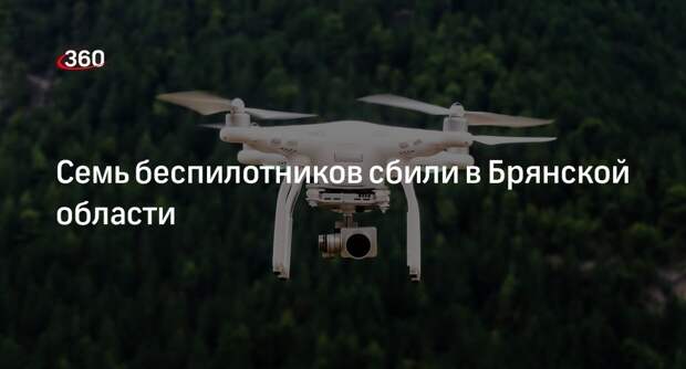 Губернатор Богомаз: силы сбили в Брянской области 7 БПЛА
