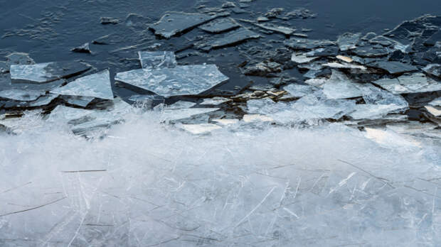 Две девочки провалились под лед в Калининграде, выгуливая собак
