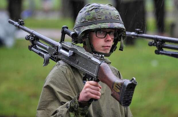 Эстонию попросили отправить военных в Гренландию