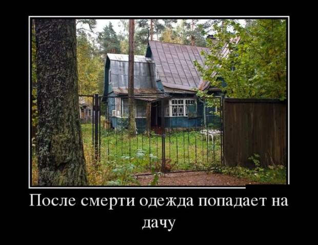 Демотиваторы