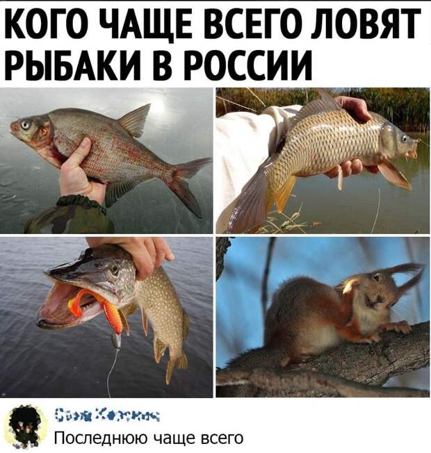 юмор в картинках (11)