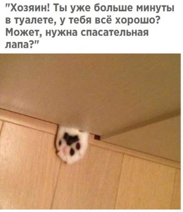 Позитивные и жизненные картинки с надписями со смыслом (12 фото)