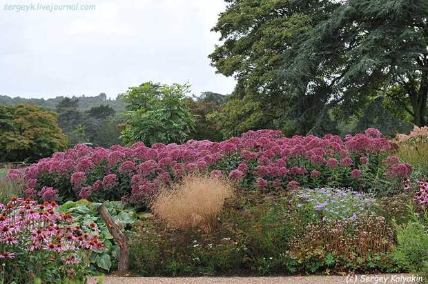 Trantham Gardens 317.JPG
